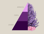 Profuma Bucato Aromatic Lavender