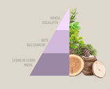 Profuma Bucato Brezza di primavera