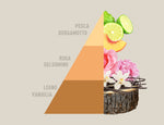 Profuma Bucato Vento d'oriente